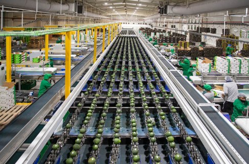 Línea de producción en una planta industrial